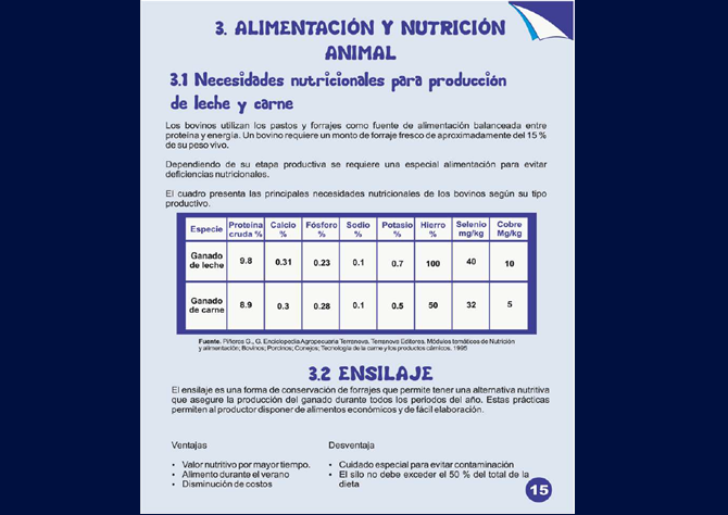 Slide 3